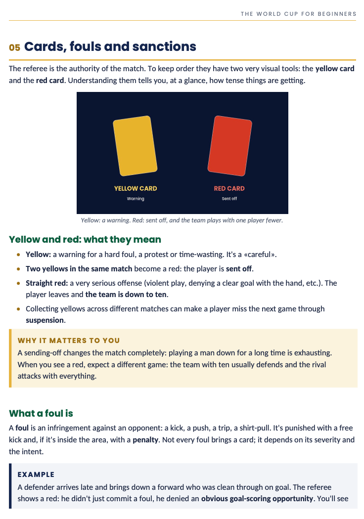 The World Cup for Beginners: an easy guide to understand and enjoy every match